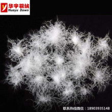 安新縣華聯(lián)羽絨制品廠(chǎng) 羽絨與羽毛制品的專(zhuān)業(yè)加工